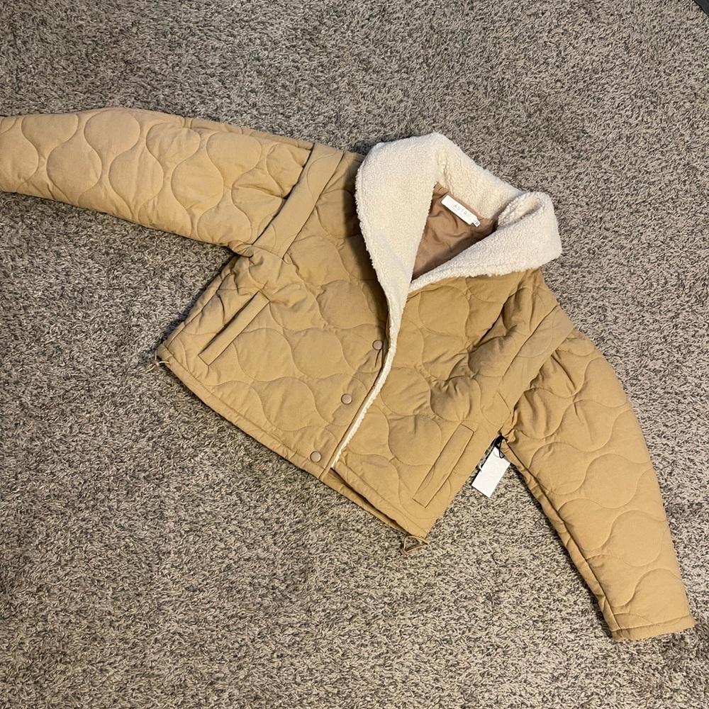 ASTR the label coat